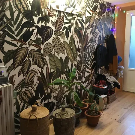Homestay Sejour Chez L'habitant Homestay Fougax-et-Barrineuf